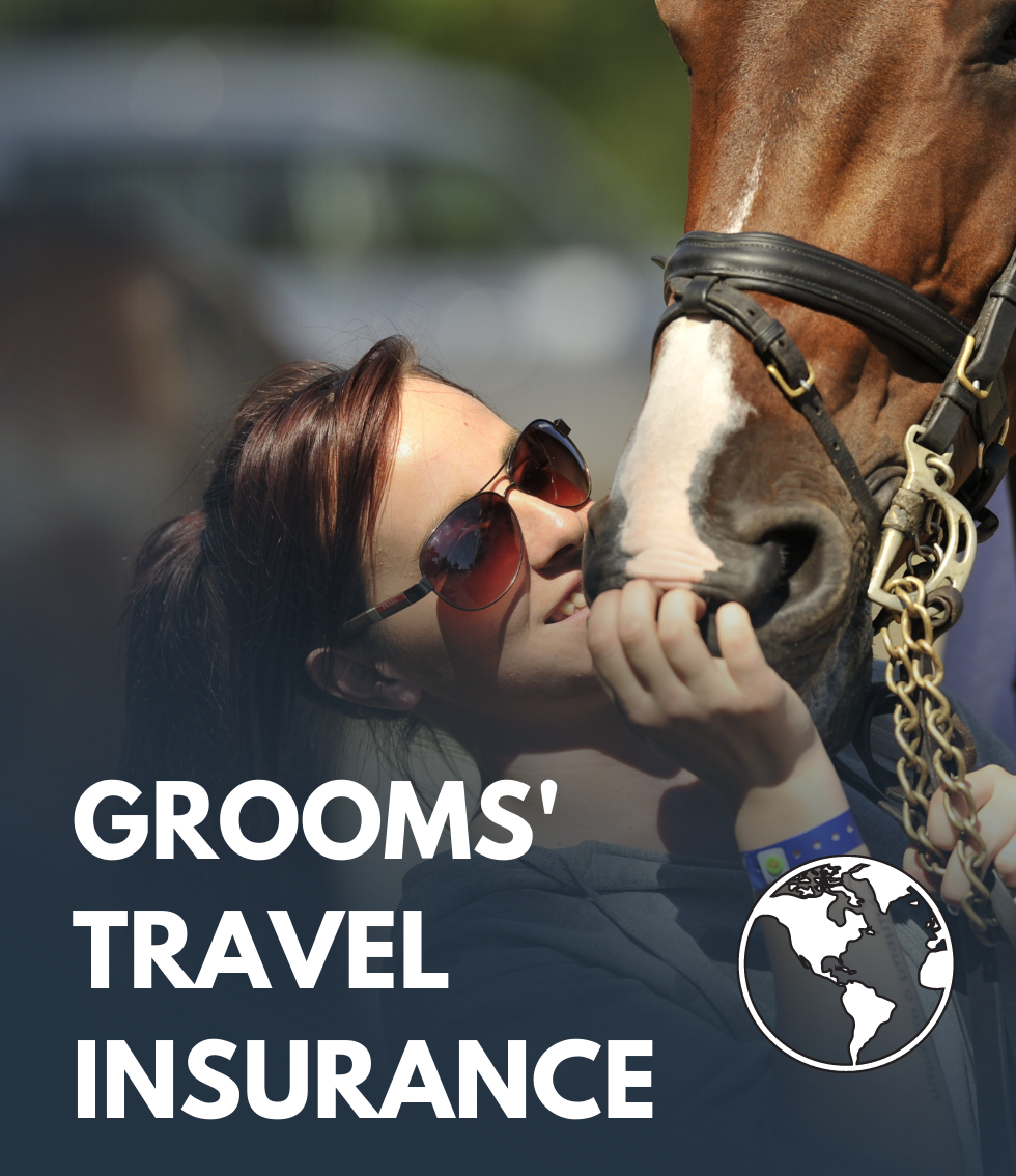 horse riding travel insurance